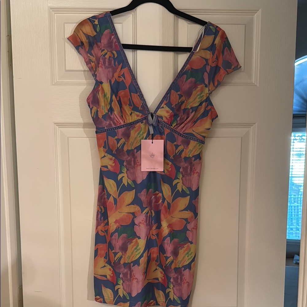 Hello Molly Multicolor Floral Dress